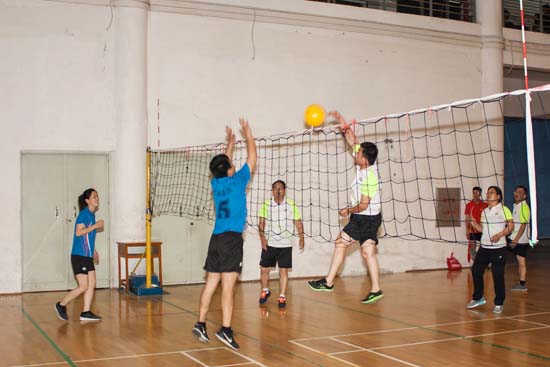 ���������ֳɾ����׽조���������������������