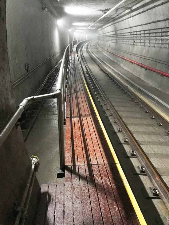 ת������ϵ�б���֮�ߣ��������ӡ��Ʋ�˼ӵ�����ƣ���ʵ����������ʱ���������ǲ�����z6mg��������